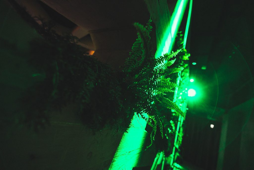 Palais Wertheim Green neon light washes over ferns growing along a wooden wall in a dark space, creating a moody, plant-filled scene.