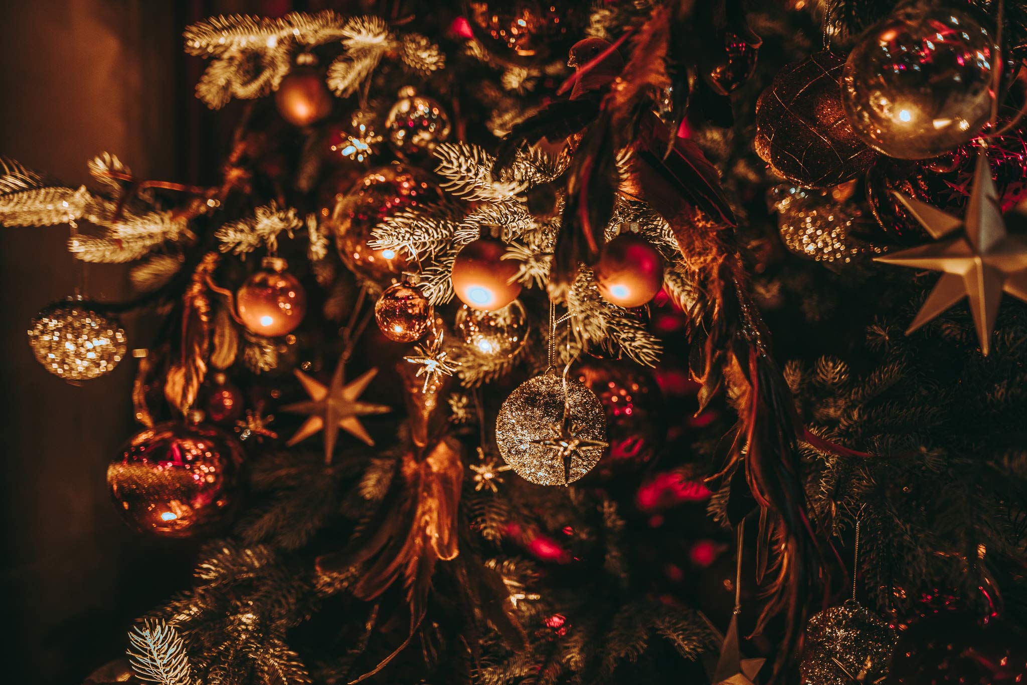Close-up of a Christmas tree with gold and red ornaments and warm lights.